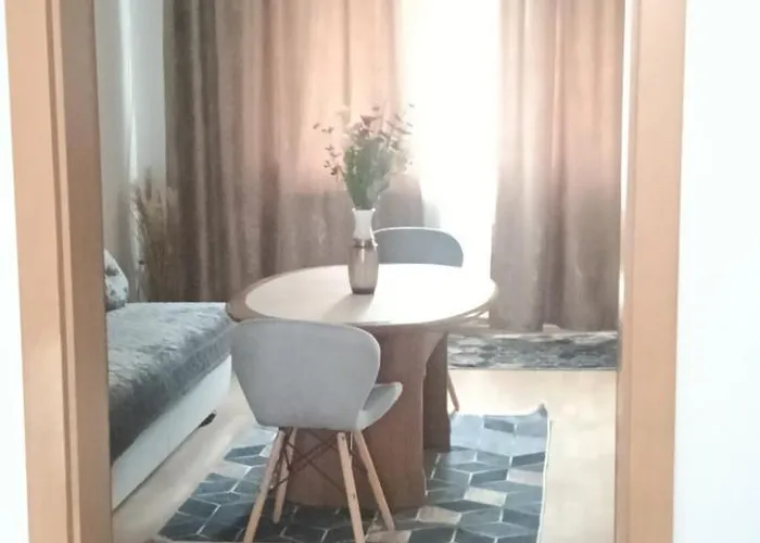 Anne Lägenhet Timişoara