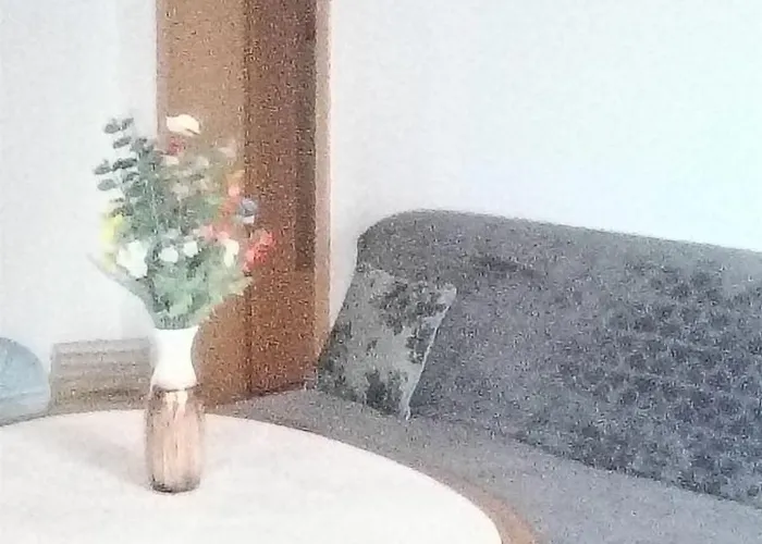 Anne Lägenhet Timişoara